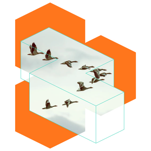 How commercetools wins against Oracle