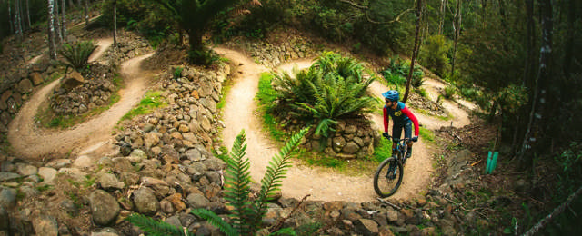 Article header example 4