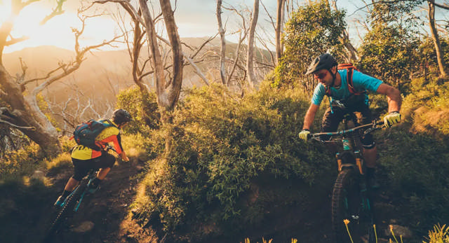 Buller Bike Park gets a refresh | Contour Works and Trailscapes give the network some TLC