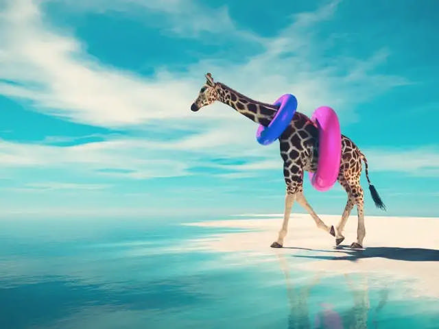 Angular Custom Form Controls & Nested Form Groups Made Easy