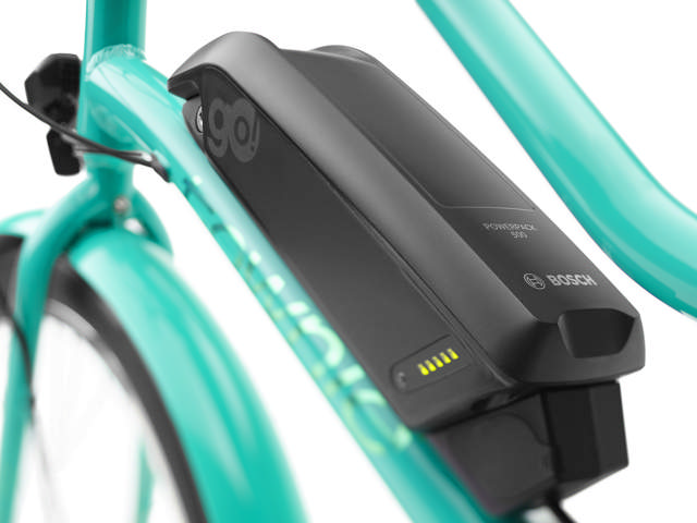 Townie Go! 5i Step-Thru green