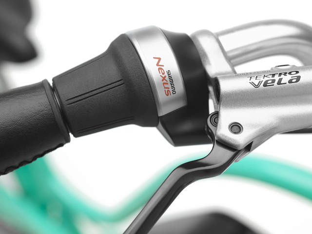 Townie Go! 5i Step-Thru green