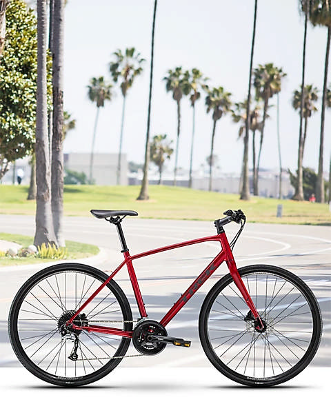 Carousel image 0 alt text