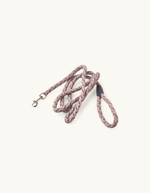 HUNDESNOR MED REFLEKS