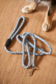 HUNDESNOR MED REFLEKS