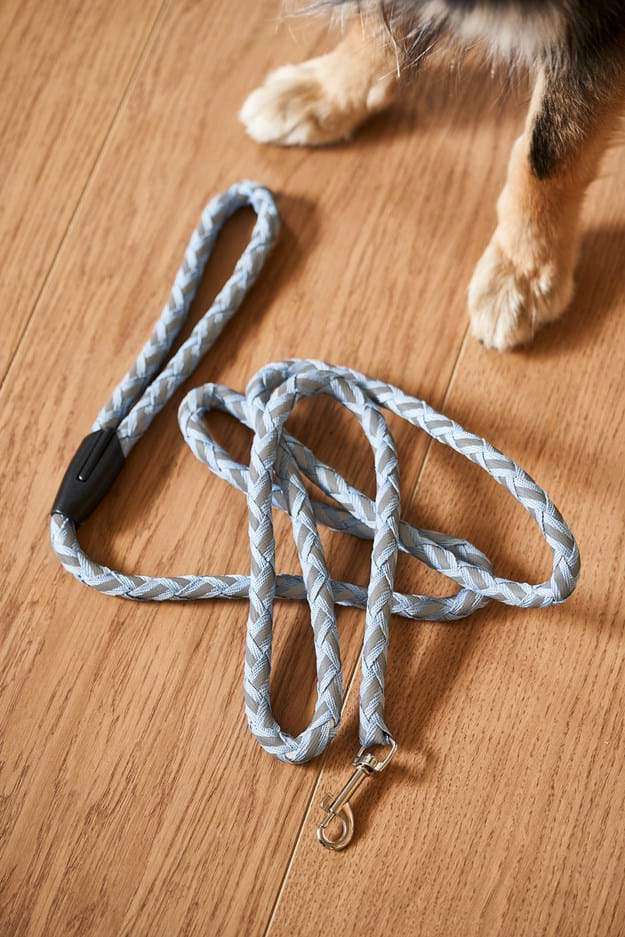 HUNDESNOR MED REFLEKS