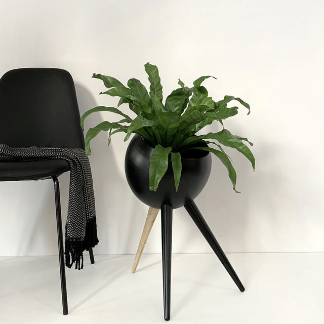 Curvy Grande krukke Ø32 høj